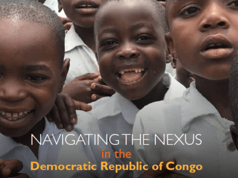 Navigating the Nexus in the Democratic Republic of Congo