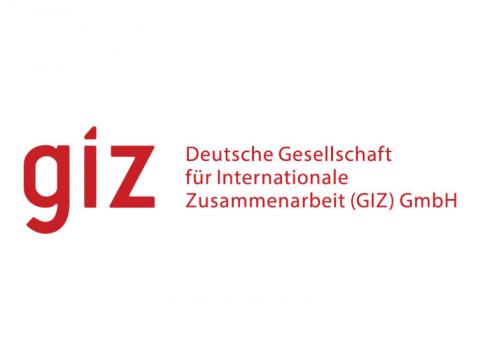 GIZ Logo