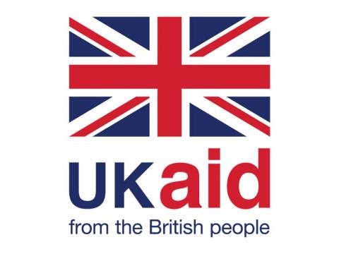 DFID Logo