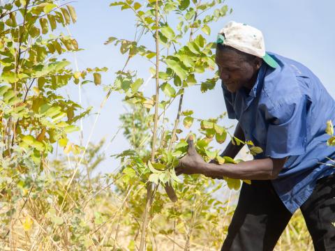 The European Commission’s Green Deal can help solving the international climate and biodiversity emergencies by shaping stronger and more sustainable partnerships with tropical forested countries. But this will only succeed, if it reconciles environmental sustainability, climate resilience and inclusive development.  