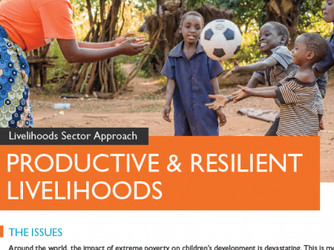 WVI Livelihoods Overview 2019