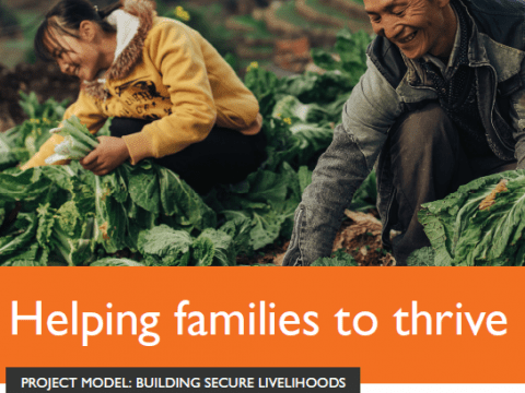 Building Secure Livelihoods 2019