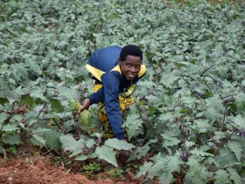 Anne Marie tending her crops 