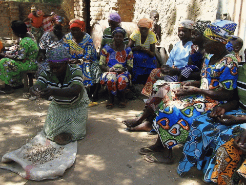 Rosalie, a better life with moringa