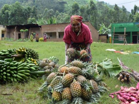 Virgina’s bounty of fruits & vegetables ready for market