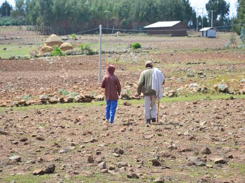 ITAW Ethiopia Child Neglect