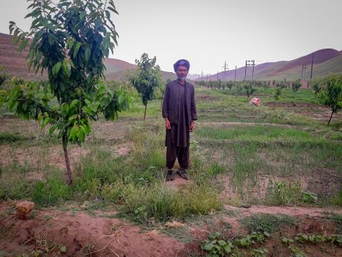 Abdul Qadir the farmer
