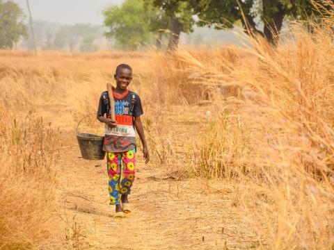 Bismark returning with harvested termites