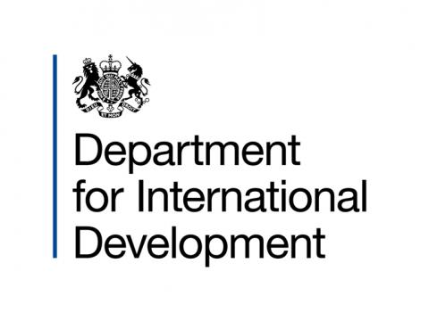 DFID Logo