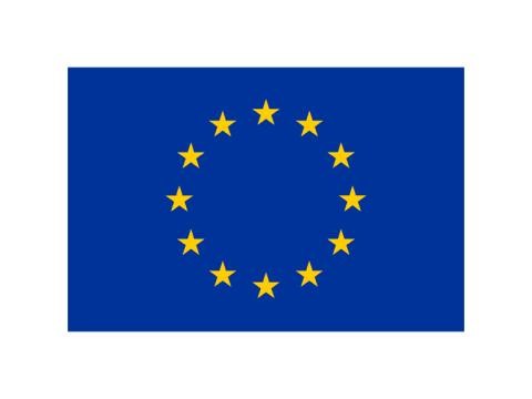 EU Logo