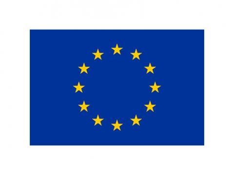 EU Logo