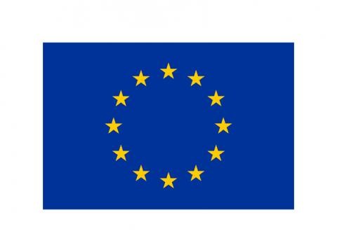 EU Logo