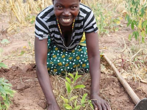 Maria is caring a orange seedling she received from World Vision