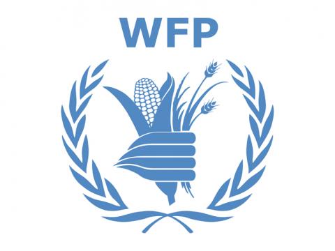 WFP Logo