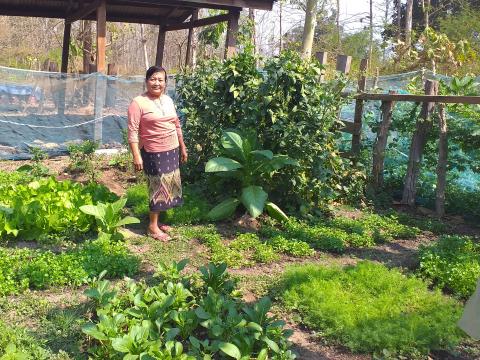 Home garden
