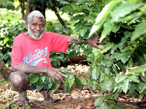 Resilient livelihoods