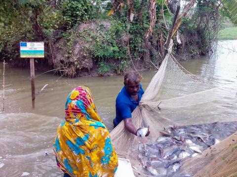 “Our Forest, Our Life”: A Community based Action towards the Sustainability of the Sundarbans Reserve Forest