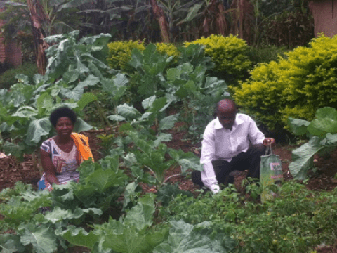 World Vision Uganda promotes kitchen gardening to curb malnurtition in communities.
