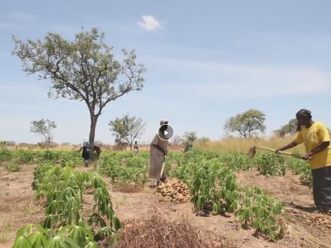 South Sudan Tools and Training Video