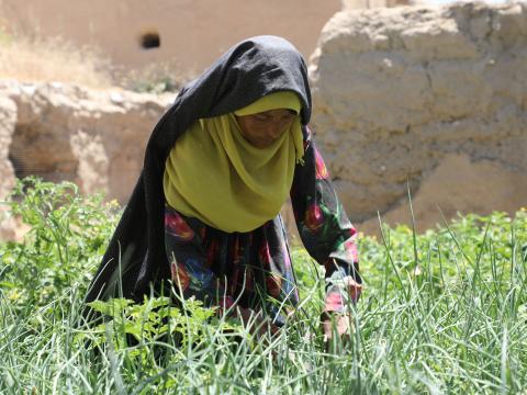 women in kitchen gardening activities