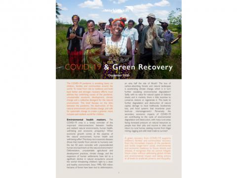 COVID-19 & Green Recovery Cover