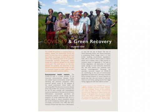 COVID-19, Green Recovery