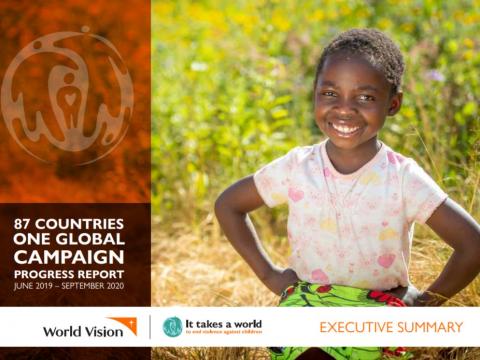 It Takes a World Global Campaign Progress Report - Executive summary