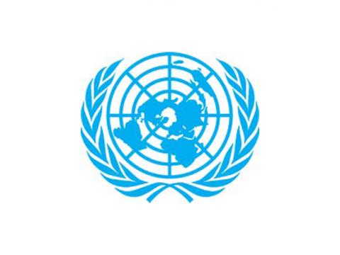 UN Security Council Logo