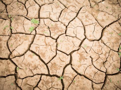 Dry ground in Mauritania