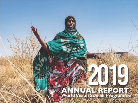 2019 Annual Report - Somalia.png