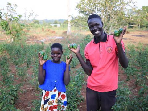 Bell pepper garden restores Faima's hopes