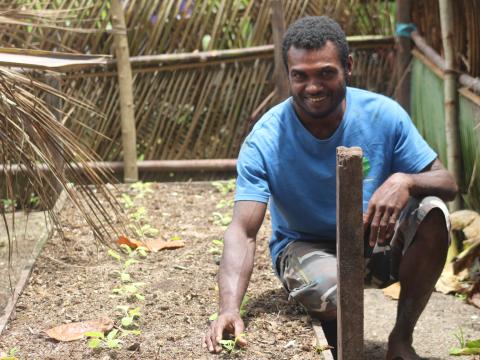 Benard Masioa in a vegetable garden at Niu Island, Marau Sound. 