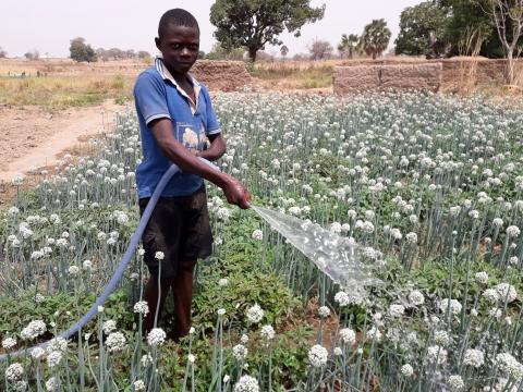 Patrick watering his dad's farm 