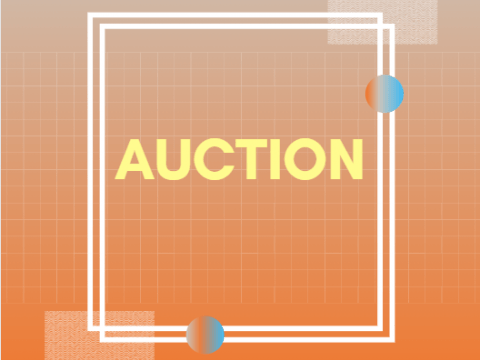 Auction of cars