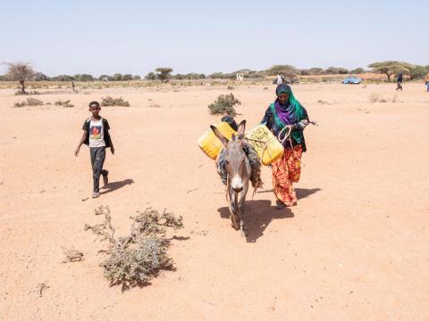 Looming severe drought in Somalia if rains fail