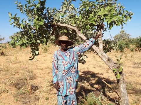 Daouda in his farm