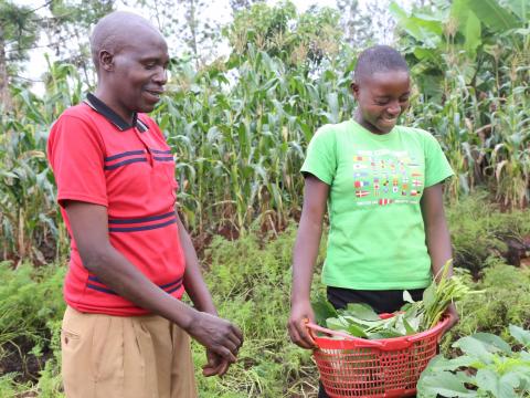 joy and harvest 