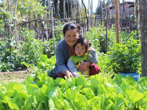 Defying malnutrition in Lao PDR