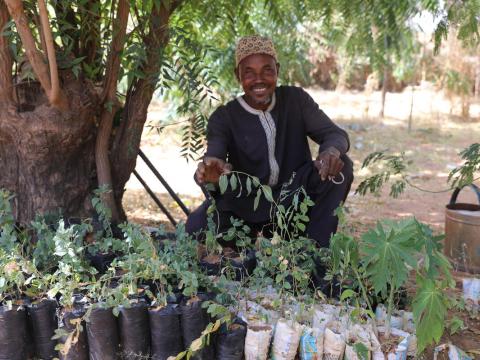 Regreening Africa project helps rehabilitate Issaka’s family land