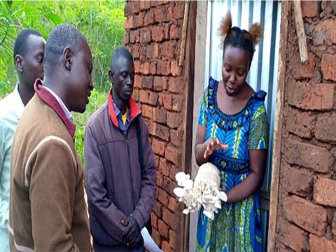 World Vision resilience livelihoods mushroom farming growing Bugiri