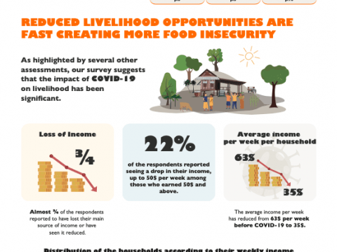 Survey on the Impact of COVID-19 on Vulnerable Households in Cambodia