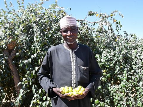 Growing Sahelian apples helped Abdoulsalam stay close to his family