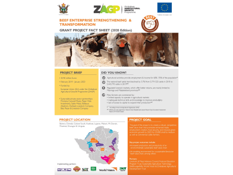 Beef Enterprise Strengthening & Transformation (BEST) Project Factsheet