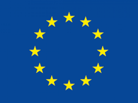 EU Logo