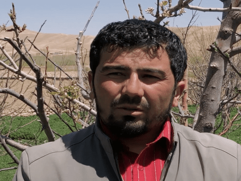 agriculture department in Ghor
