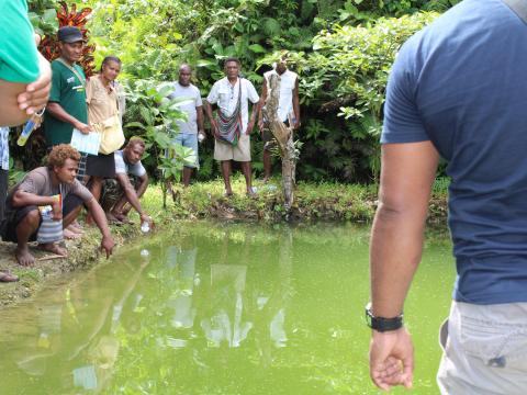 Aquaculture training Malaita