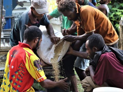 Building Resilience project invests in rice farming (22)