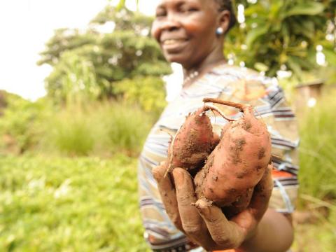 Woman holds sweet potatoes