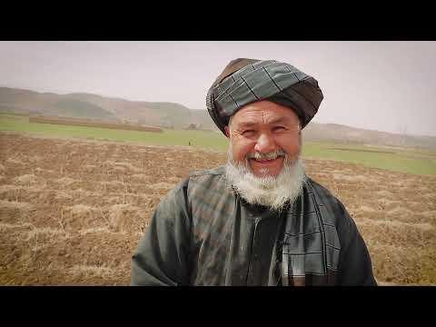 Farmers talk about the impact of World Vision's agricultural programmes in Afghanistan