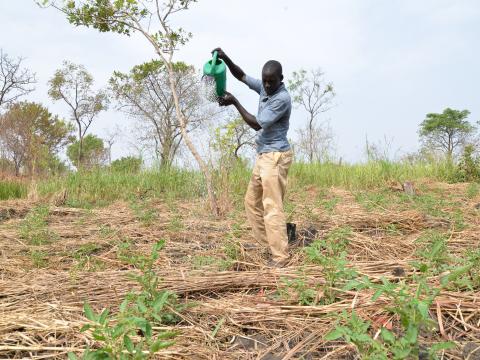 World Vision improving resilience and livelihood of refugee families in Adjumani district.